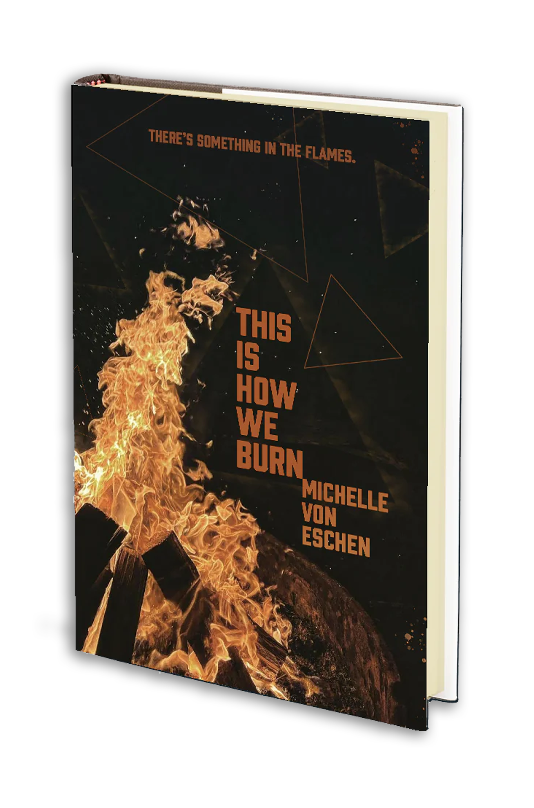 This is How We Burn book cover